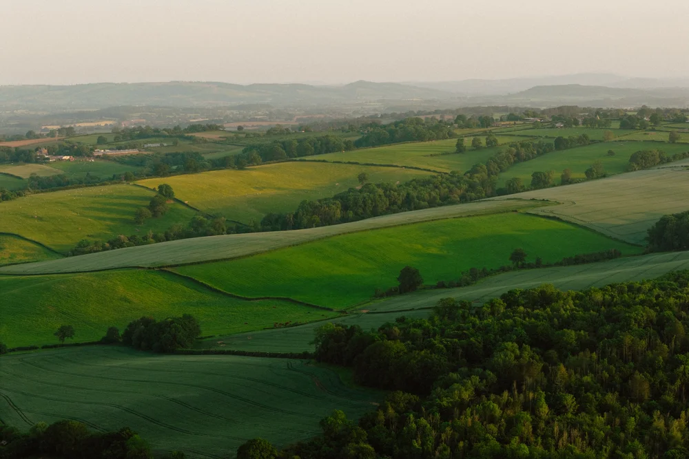 Aerial view of the full Brook House Woods estate available for exclusive hire