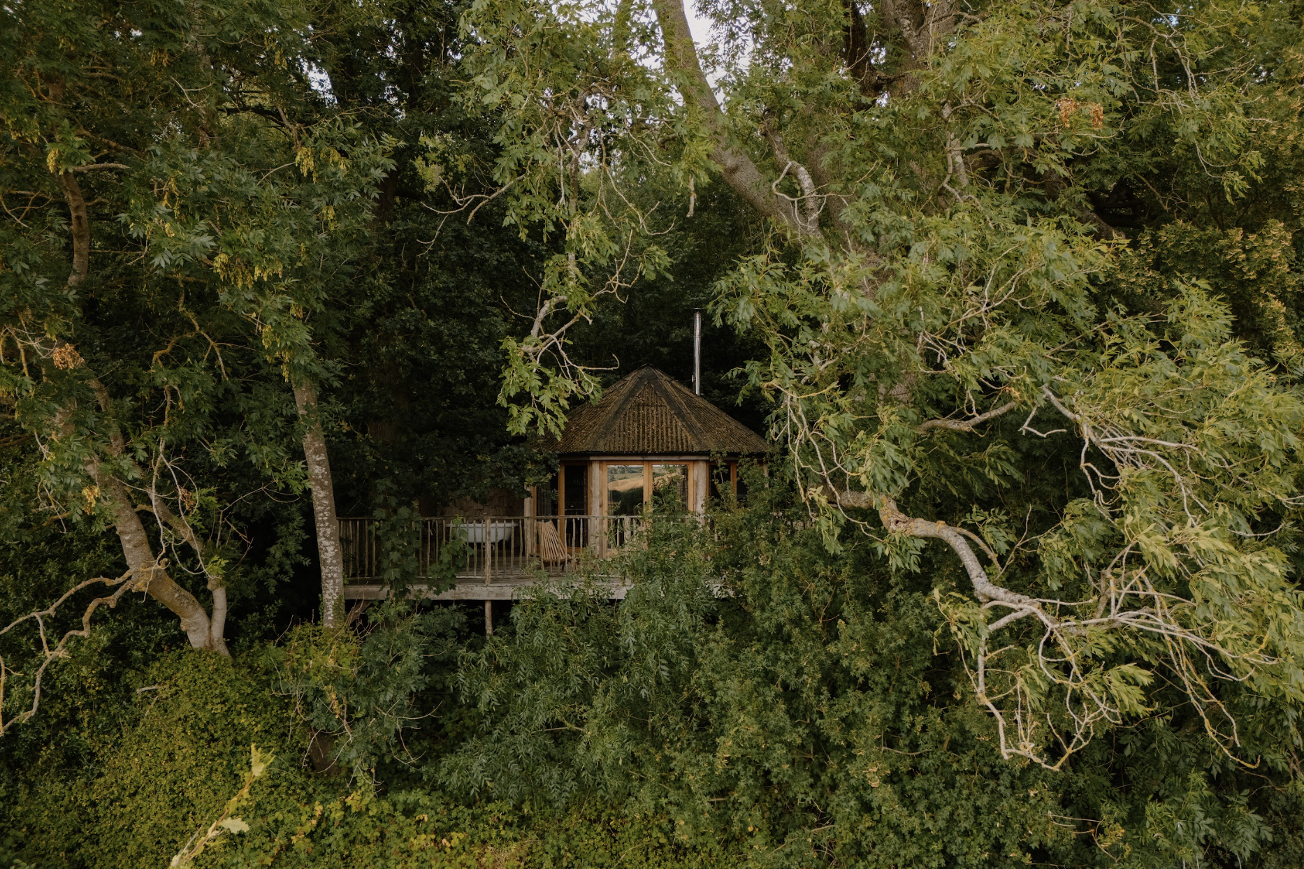 A small wooden house with a shingled roof on a tree-lined hillside, surrounded by green foliage.