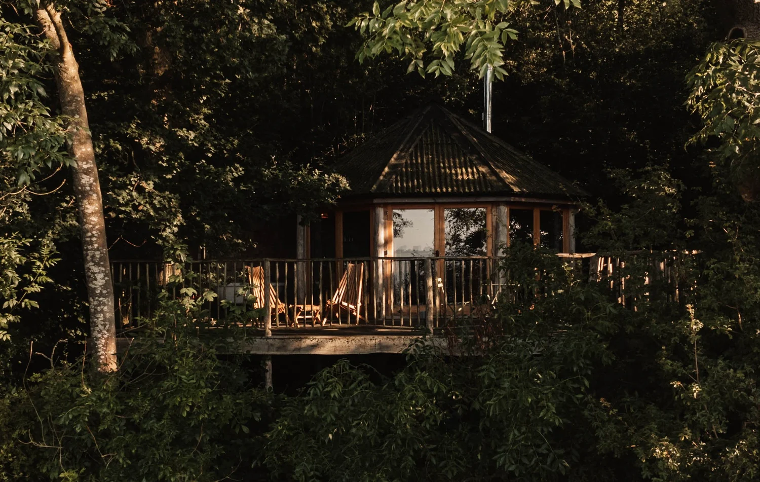 Bluebell cabin exterior tucked into the woodland at Brook House Woods