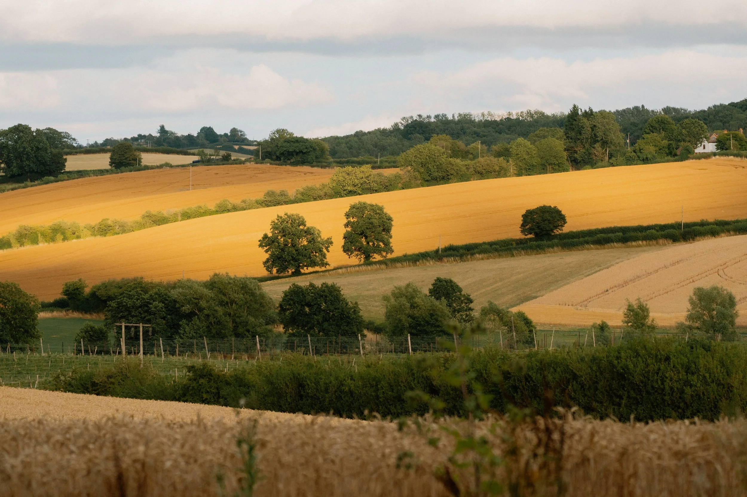 Rolling countryside landscape with green trees, fields of different colours, and a cloudy sky.