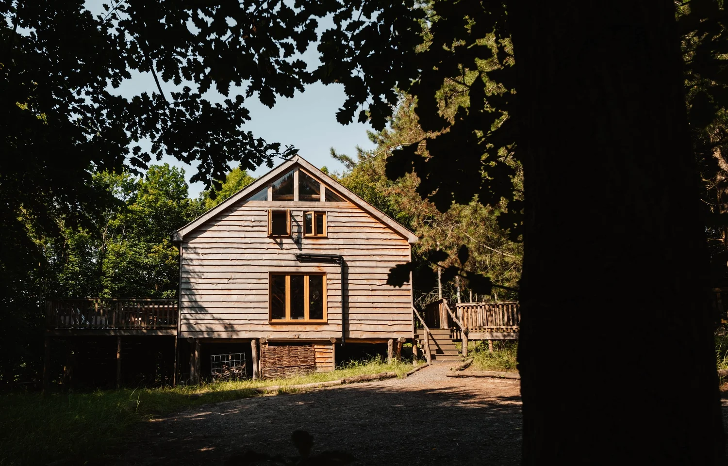 Secluded rear view of Journeyman Treehouse framed by mature woodland in Herefordshire