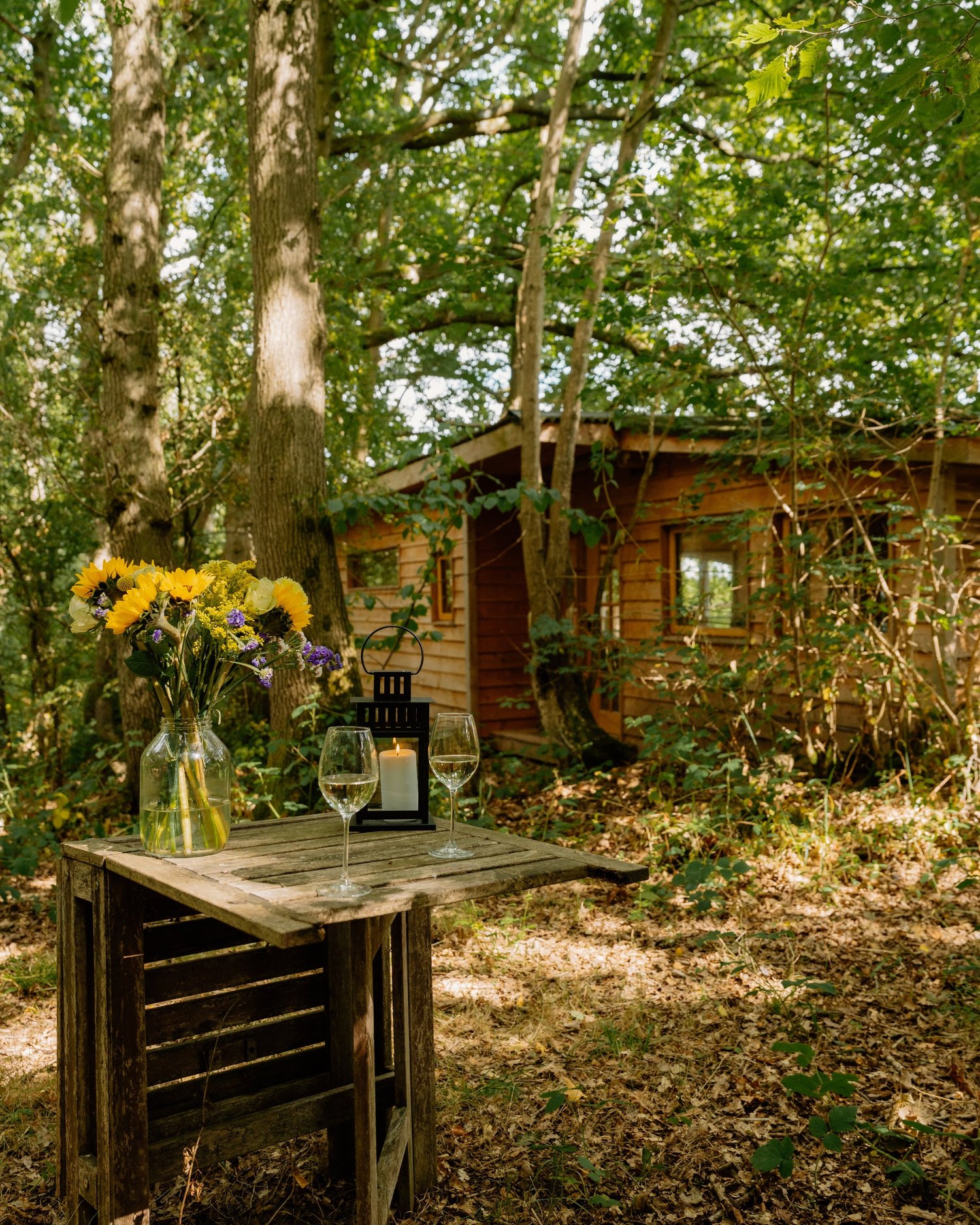 Foxglove cabin interior with rolltop bath