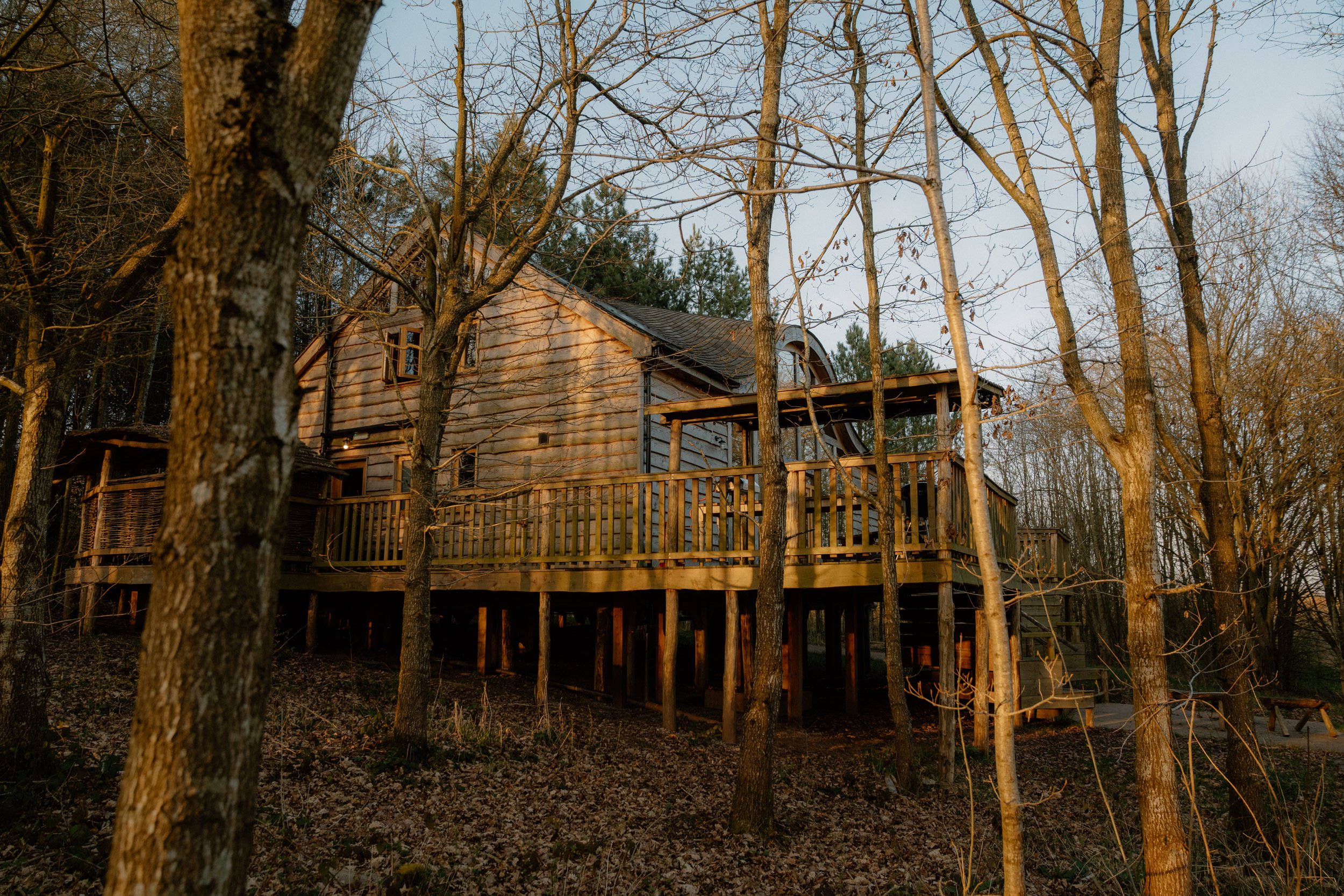 A rustic wooden cabin with a raised porch surrounded by leafless trees in a forest.