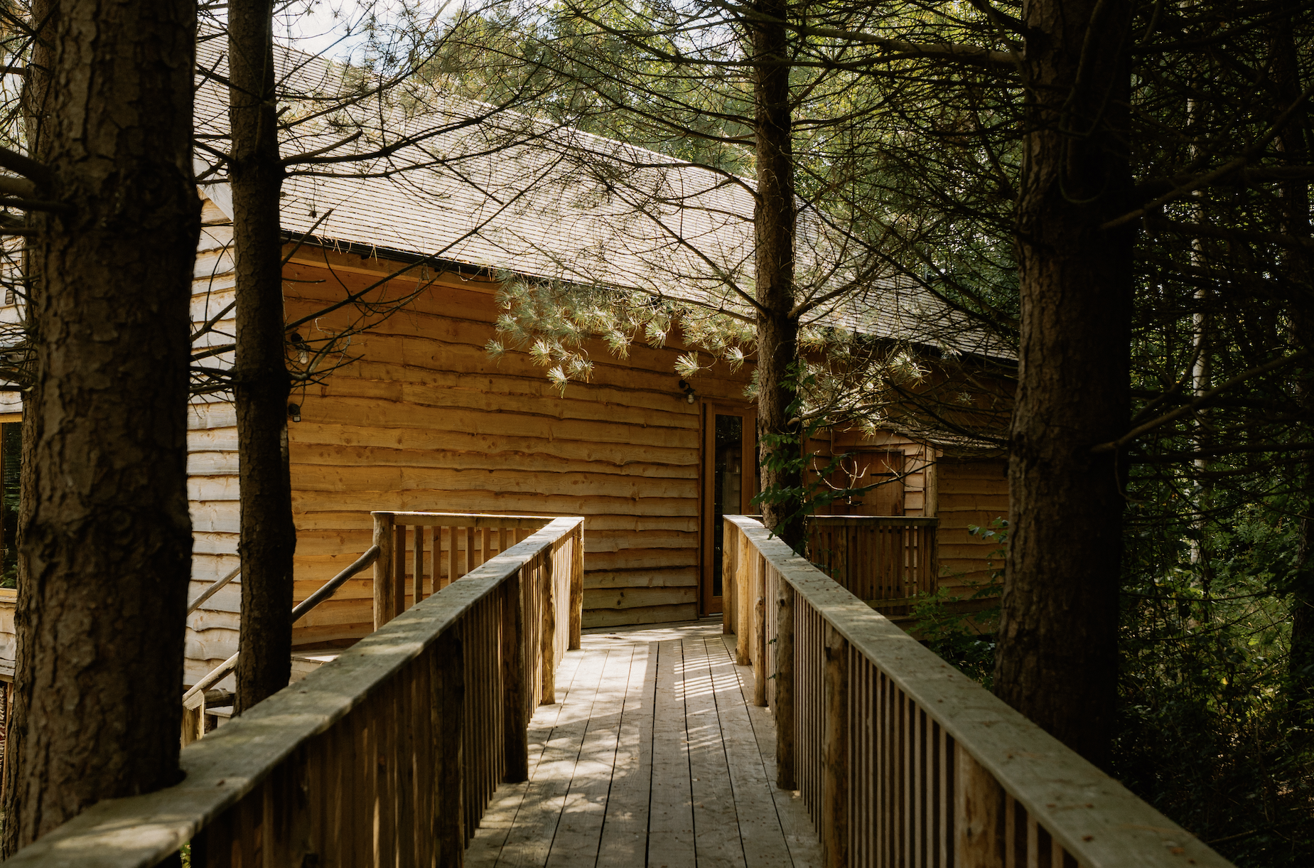 Wooden walkway leading to a cabin in the woods, surrounded by trees with sunlight filtering through.