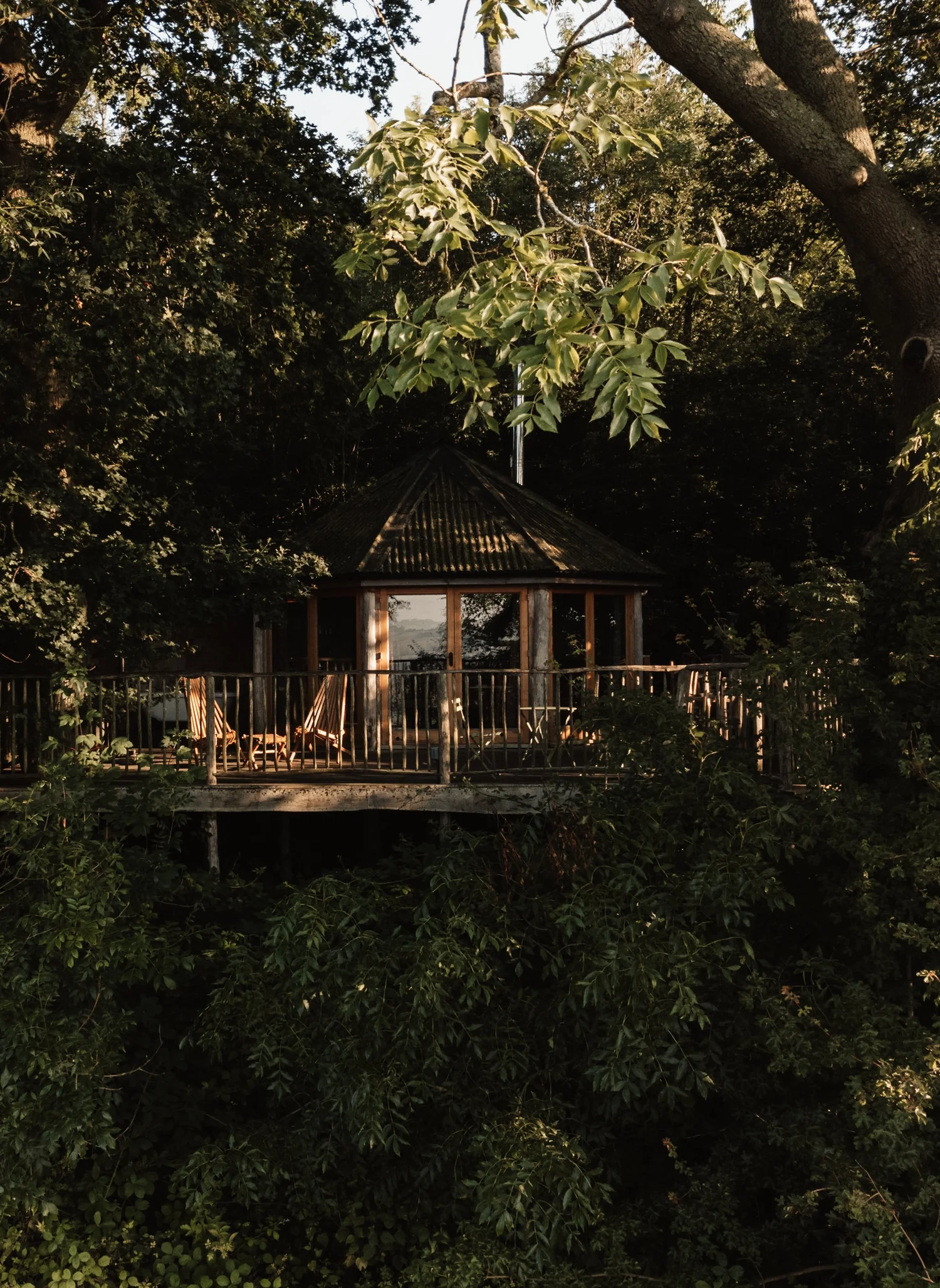 Bluebell cabin tucked into the woodland canopy