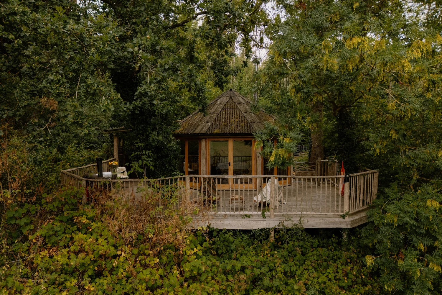 Primrose cabin nestled in the Herefordshire woods