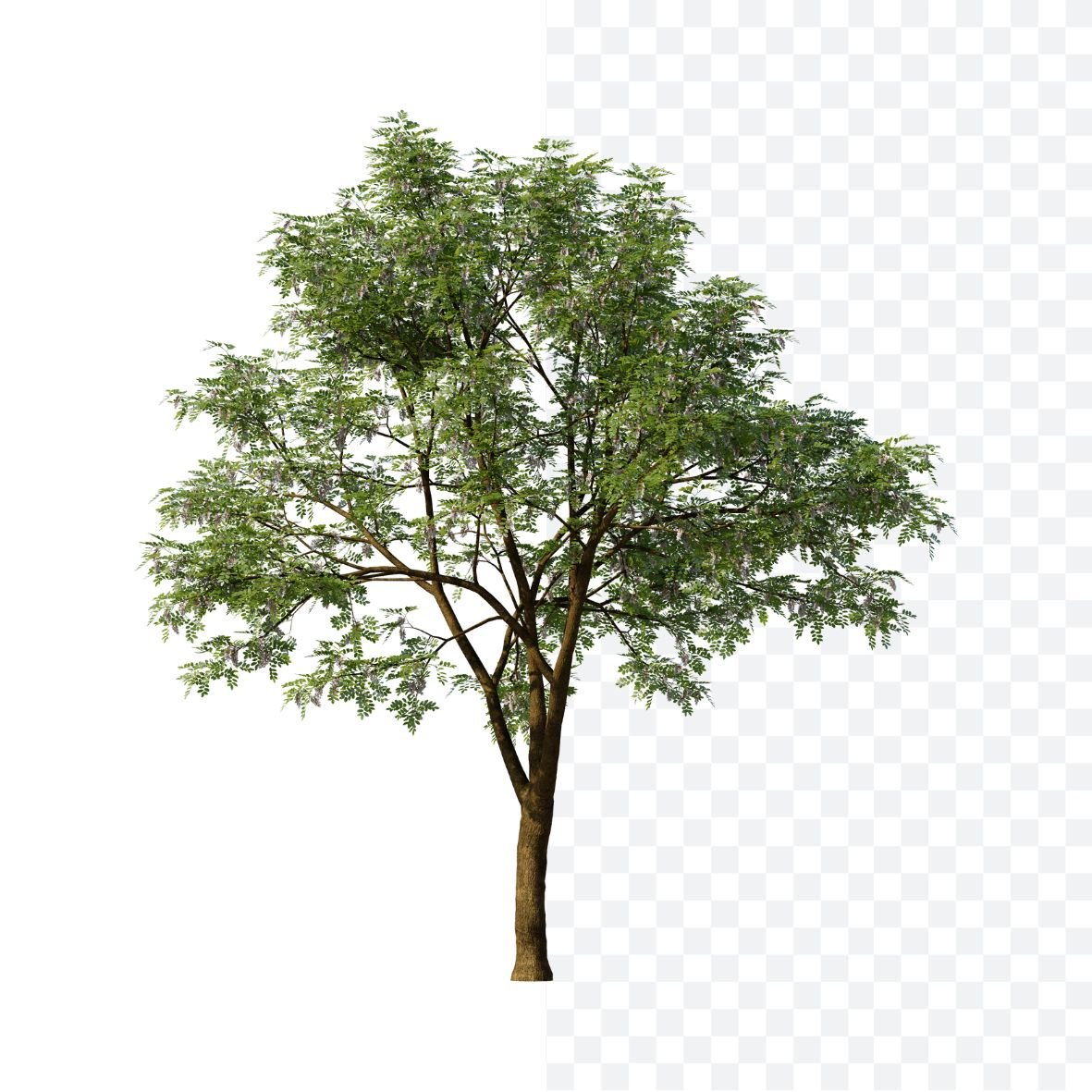 26.jpg