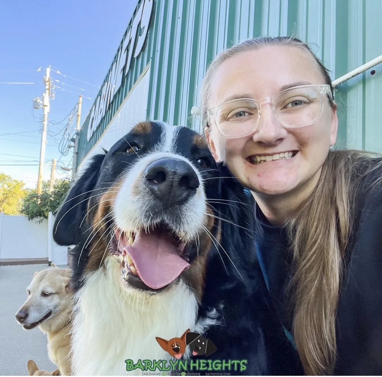 Meet Our Team — Barklyn Heights Dog Daycare