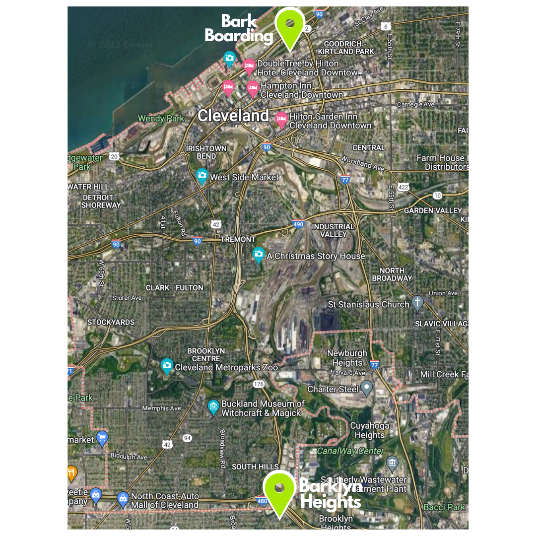 Barklyn Heights Dog Daycare