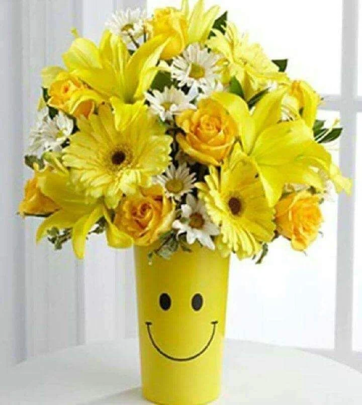 "Little Anchors" To Improve Your Quality of Life