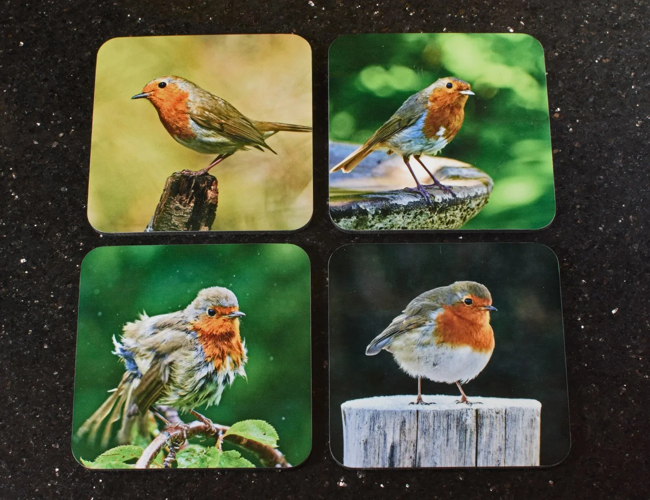Set of 4 robin coasters