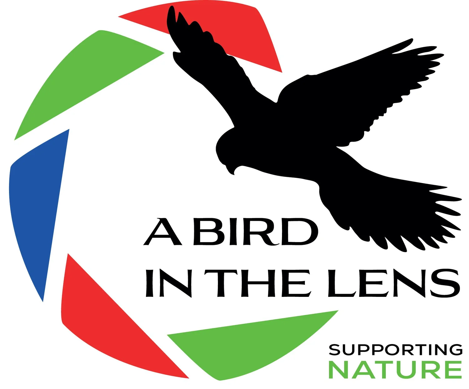 A BIRD IN THE LENS