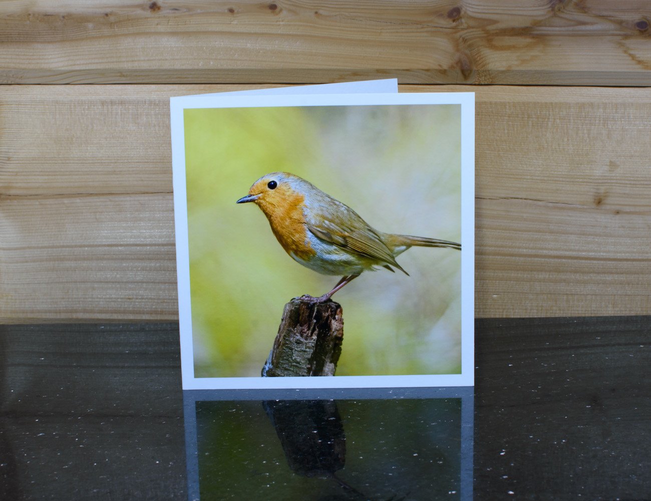 Robin_card1.jpg