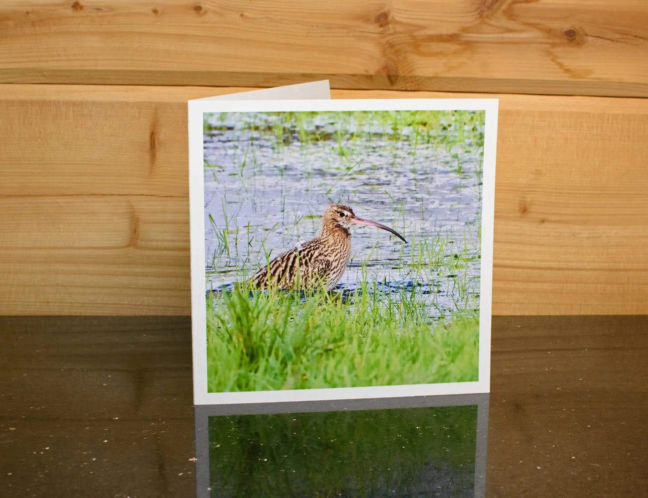 Card_2.jpg