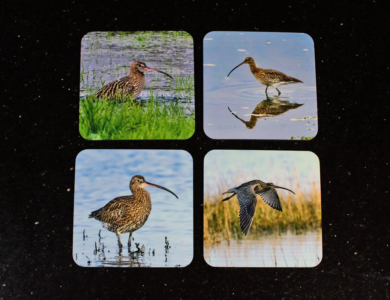 Set of 4 curlew coasters