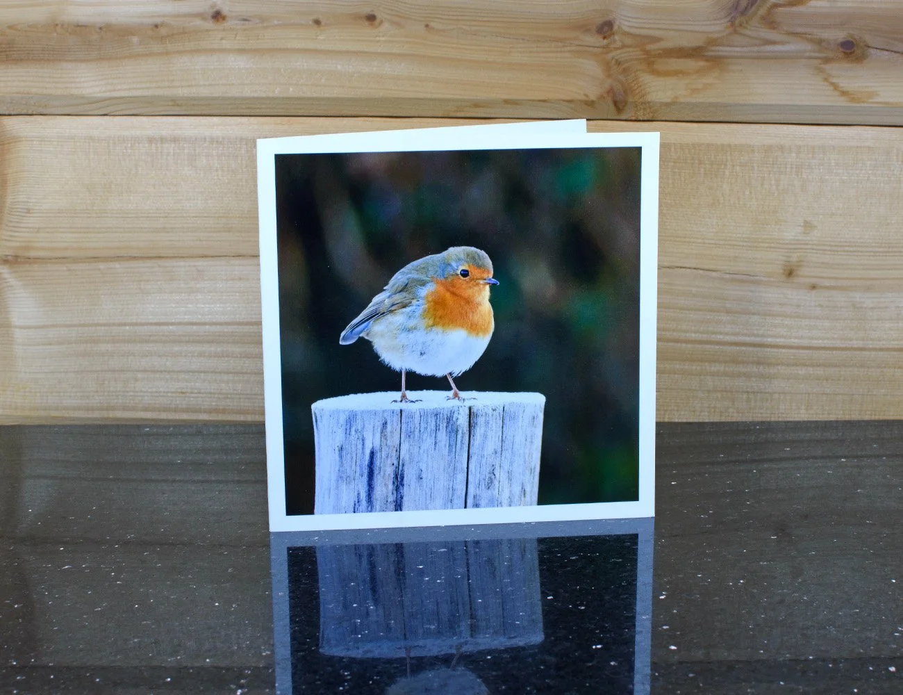 Robin_card4.jpg