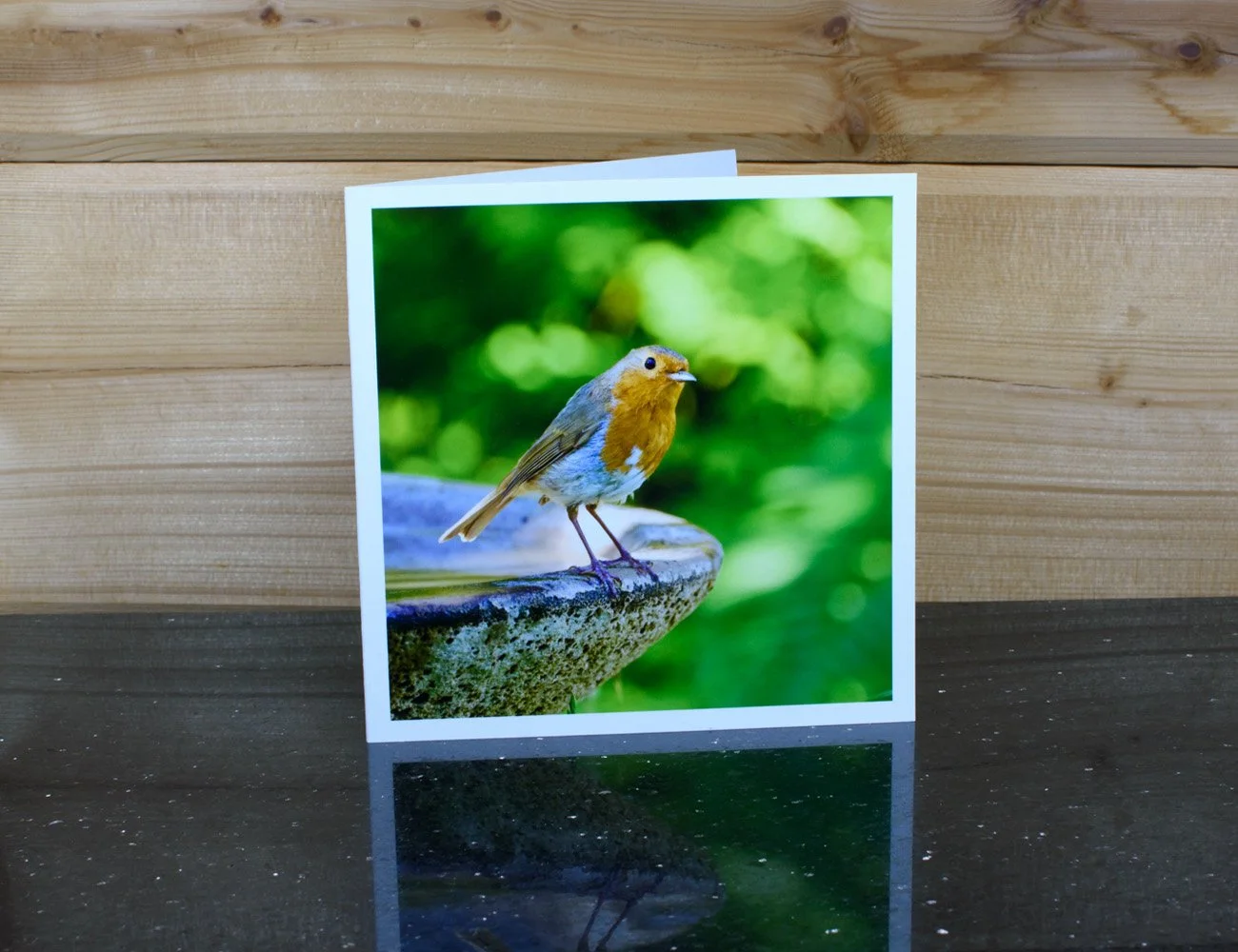 Robin_card3.jpg
