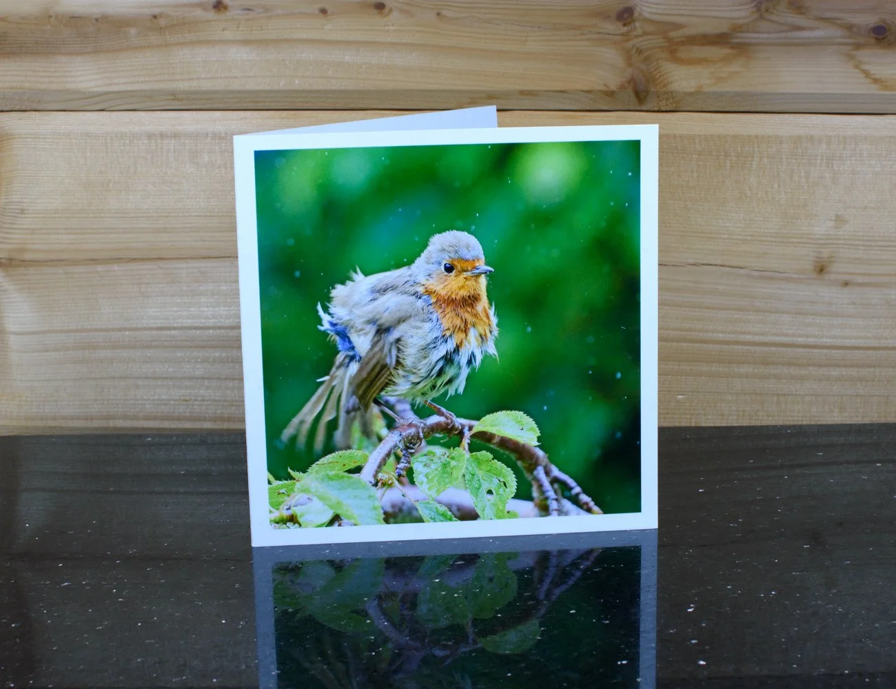 Robin_card2.jpg