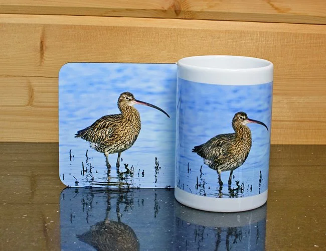 The Little Coffee mug with coaster - Curlew
