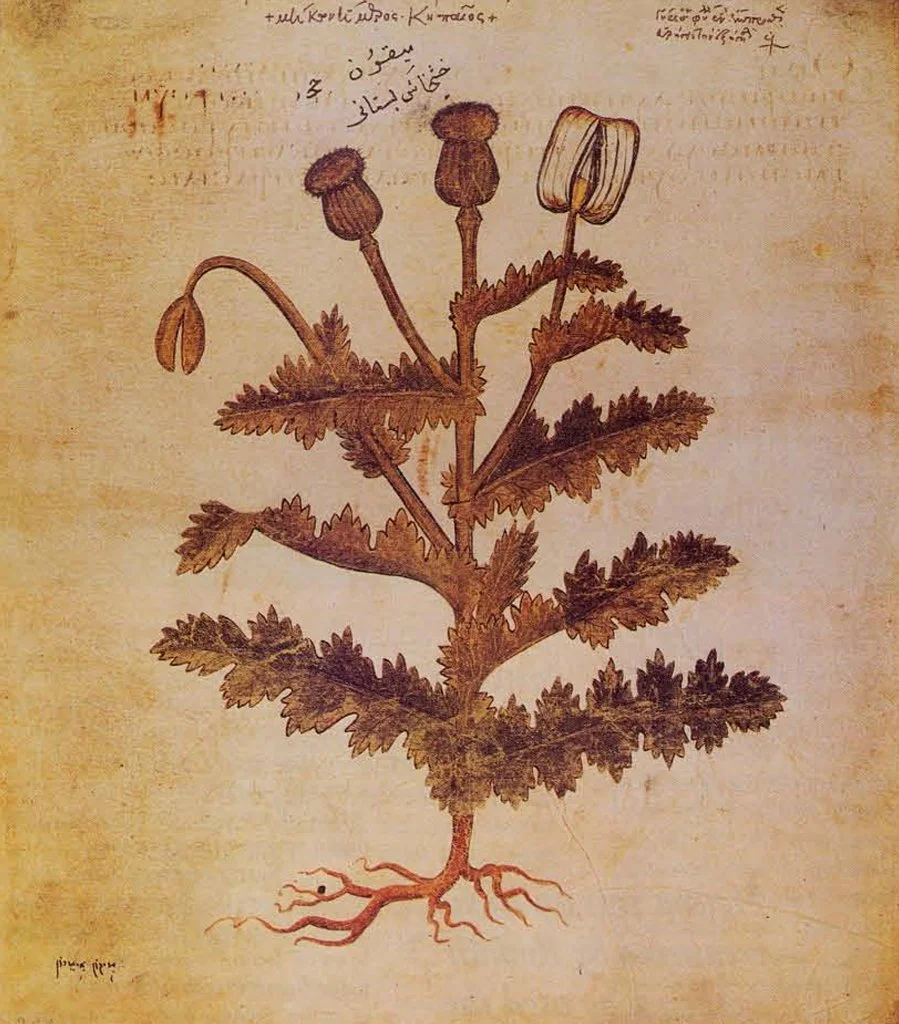 Should all drugs be legalized, and would such a policy lead to a more just and healthier society?