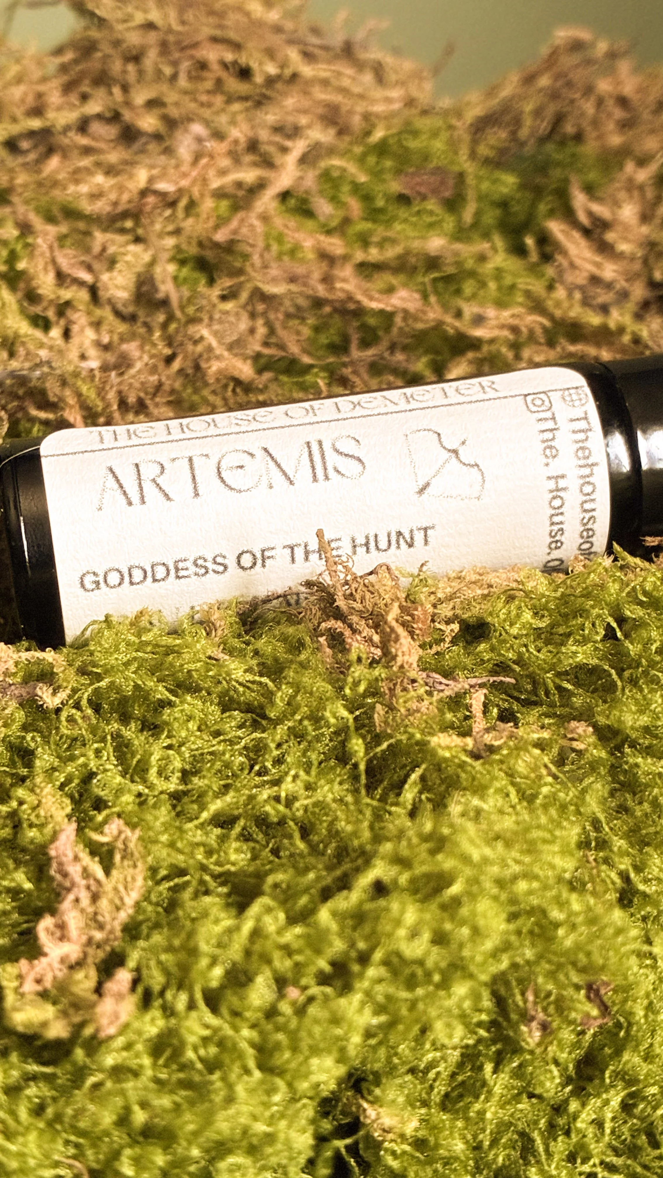 47-IMG_1173.jpg