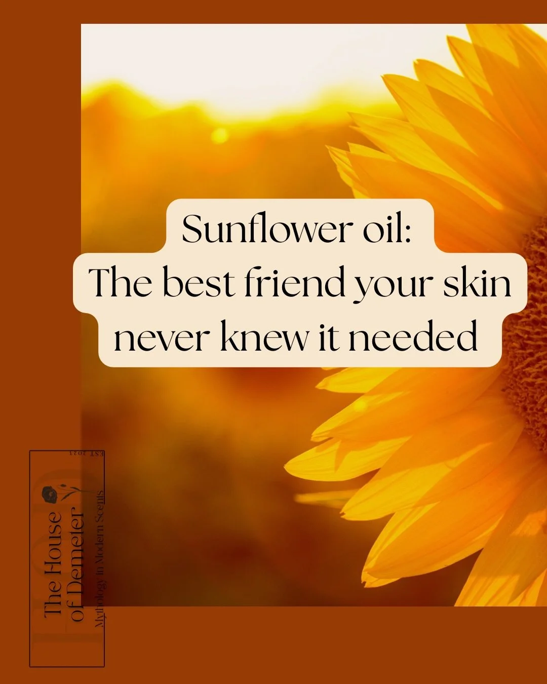 Do you hate coconut oil as much as I do? If so, then sunflower oil just might be your new best friend 🥰 Rich in antioxidants and 4 kinds of vitamins, sunflower oil has a special place in our hearts at The House of Demeter #smallbusiness #sunfloweroi