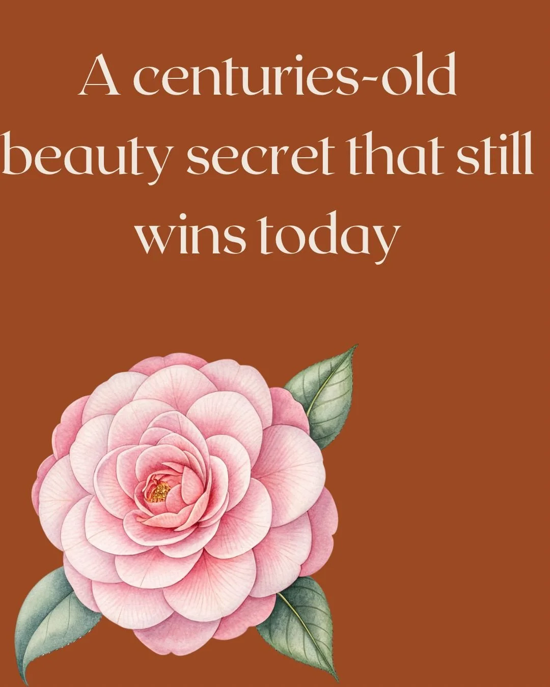 Camellia seed oil is one of those timeless ingredients that never goes out of style. 
It&rsquo;s soft, elegant, and gives the skin a smooth, moisturized look without feeling heavy.
This is the kind of oil that makes your routine feel like a ritual.
B