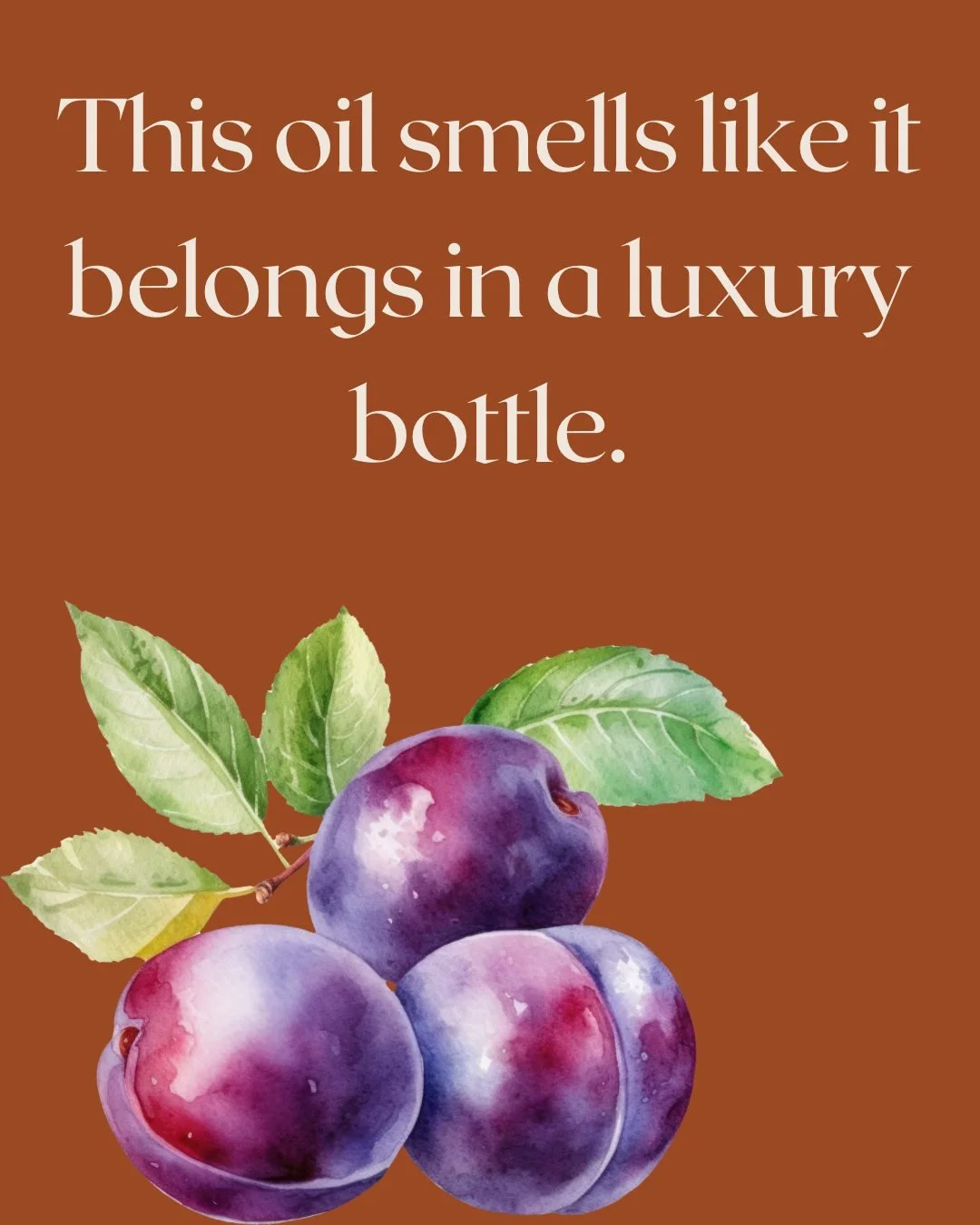 Plum oil is one of the most underrated luxury oils. 
It absorbs beautifully, softens the skin quickly, and leaves this rich, nourished glow that feels expensive.
And yes &mdash; it naturally smells slightly sweet, like cherry-almond. It&rsquo;s the k