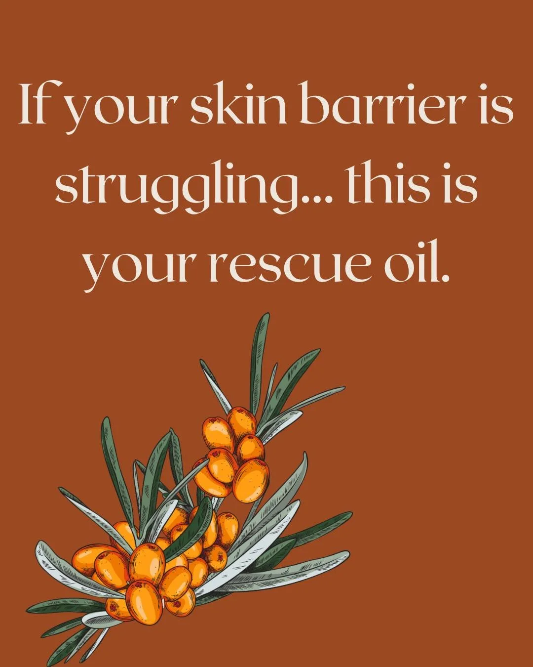 Sea buckthorn oil is one of the most nutrient-dense oils in skincare &mdash; and it&rsquo;s especially loved for barrier support.
It&rsquo;s rich, protective, and comforting, making it perfect when your skin feels dry, irritated, or stressed.
This is