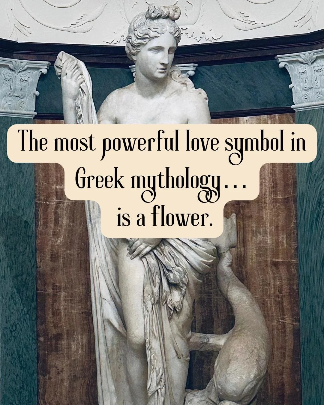 When Aphrodite rose from sea foam, beauty followed her.

Legend says roses bloomed wherever her tears touched the earth. Red roses, born from love and longing.

For centuries, rose has symbolized devotion, passion, and sacred femininity &mdash; and t