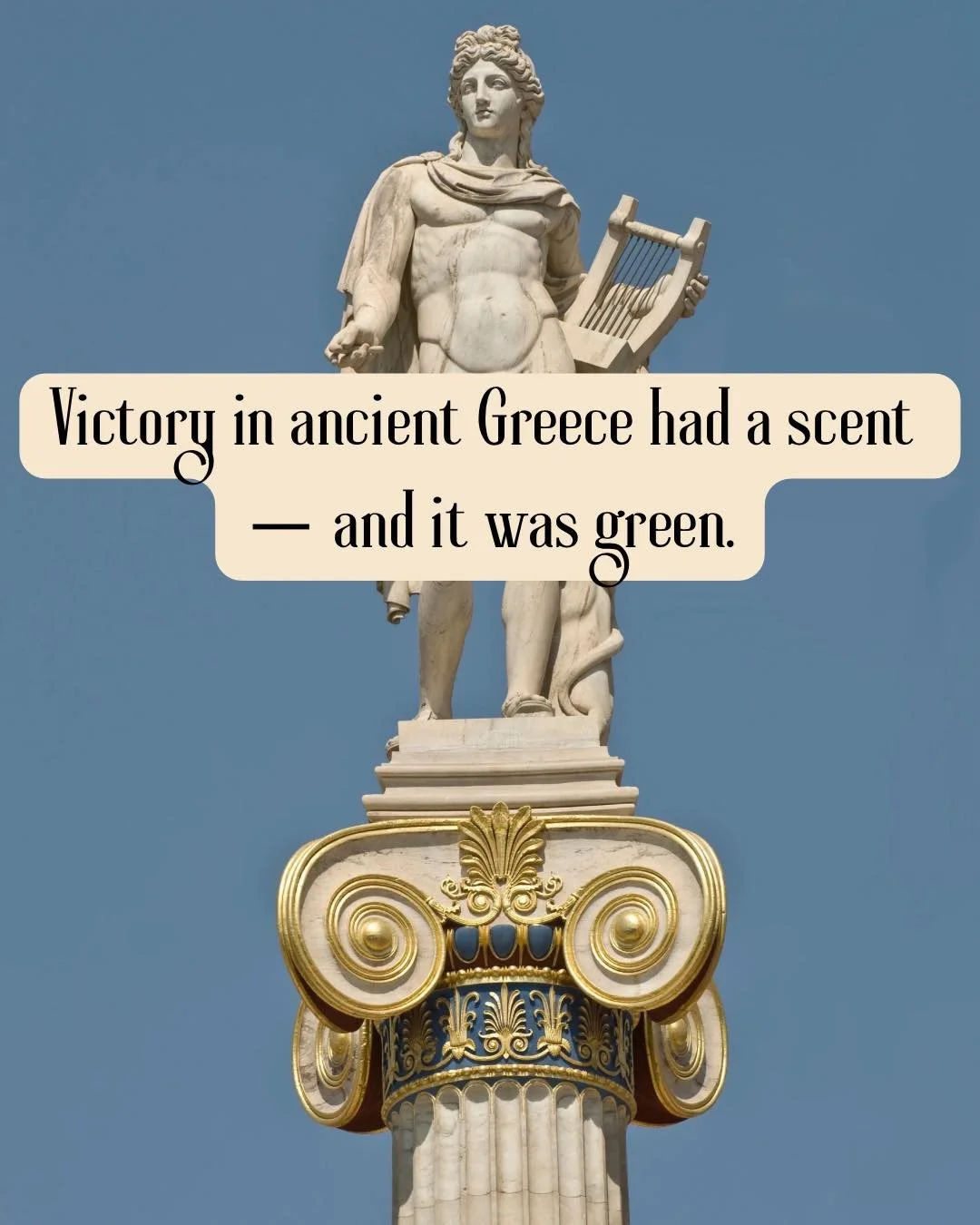 In Greek mythology, the laurel tree became sacred to Apollo after the nymph Daphne transformed into it.

From that moment on, laurel wreaths symbolized victory, honor, and divine protection across ancient Greece.

Today, laurel leaf oil is used in he