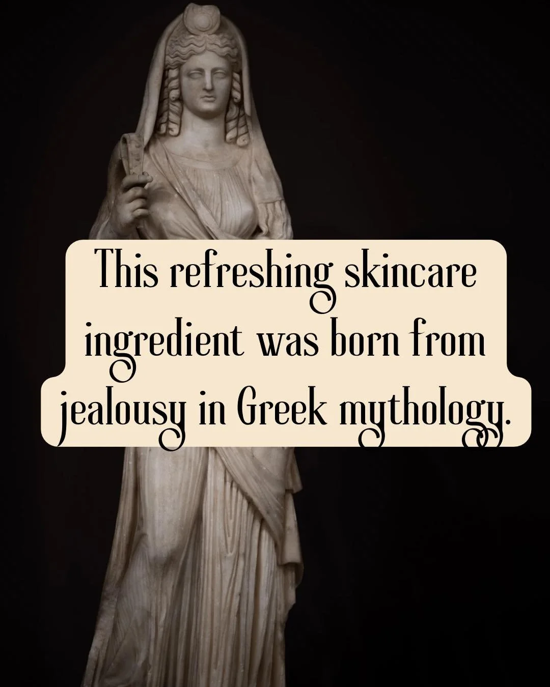 Minthe was transformed into the mint plant, forever connecting mint to transformation and power in Greek myth.

Beyond symbolism, mint extract is used in skincare for its cooling, refreshing effect and energizing botanical scent.

Mint represents ren