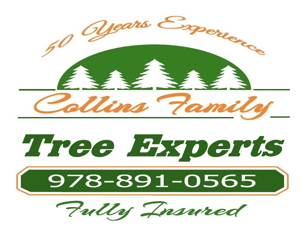 Collins Family Tree