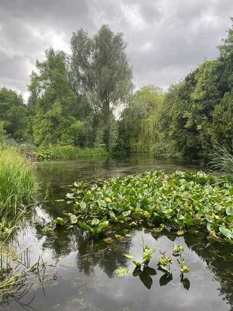 How labelling and judgement blocks peace