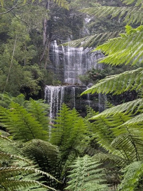 Hindsight and Gnosis