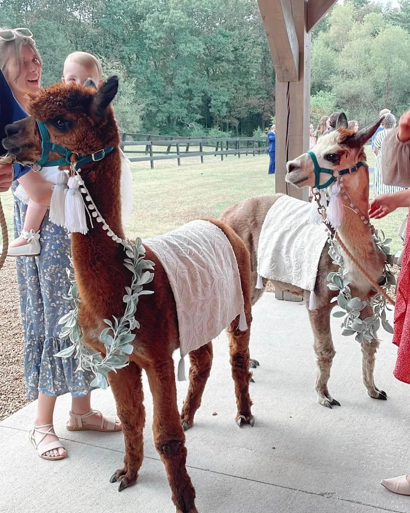 You just never know what we will be up to at Terian Farms Event Center! Call or text us at 615-809-4693 to plan your celebration! 🎉 #2025 #newyear #events #weddings #lebanon #nashvilletn