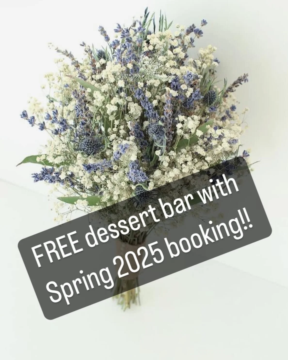 We are offering a FREE DESSERT bar for any Spring 2025 wedding!! Call or text us at 615-809-4693 to schedule your tour! #2025 #springwedding #bride2025 #lebenontn #nashvilletn #catering #explore