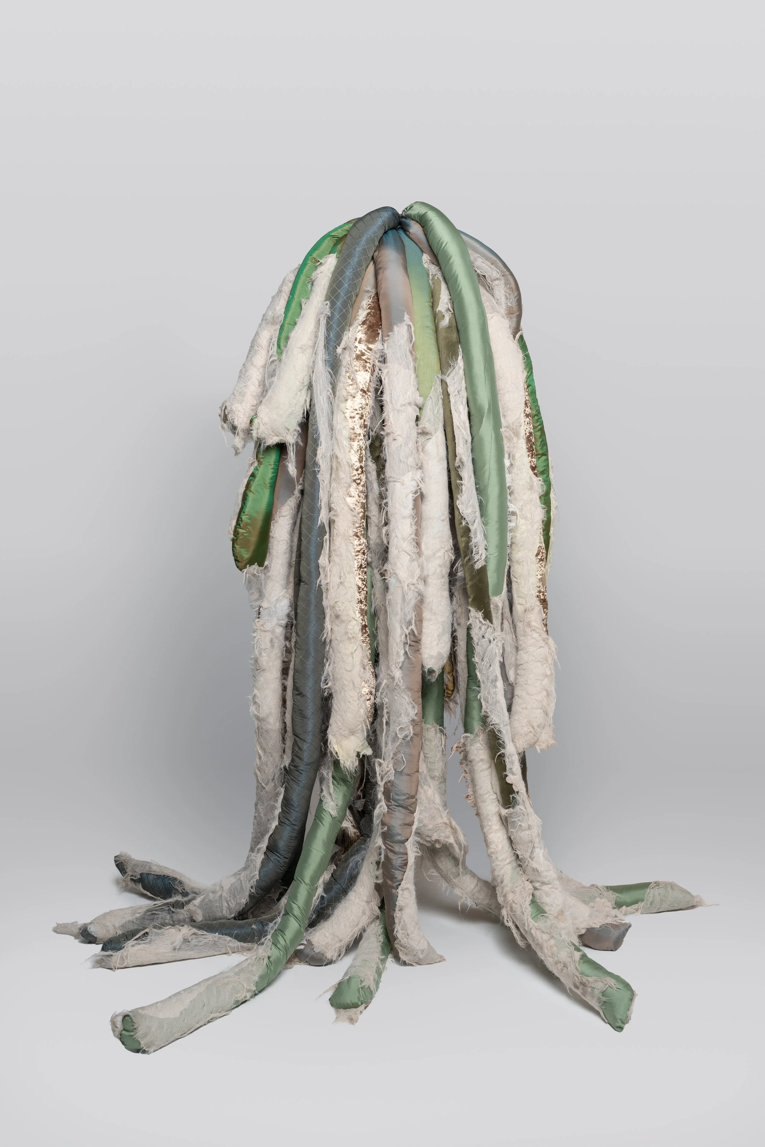 Wonder Farts-Iftikhar Kanawati-1.JPG