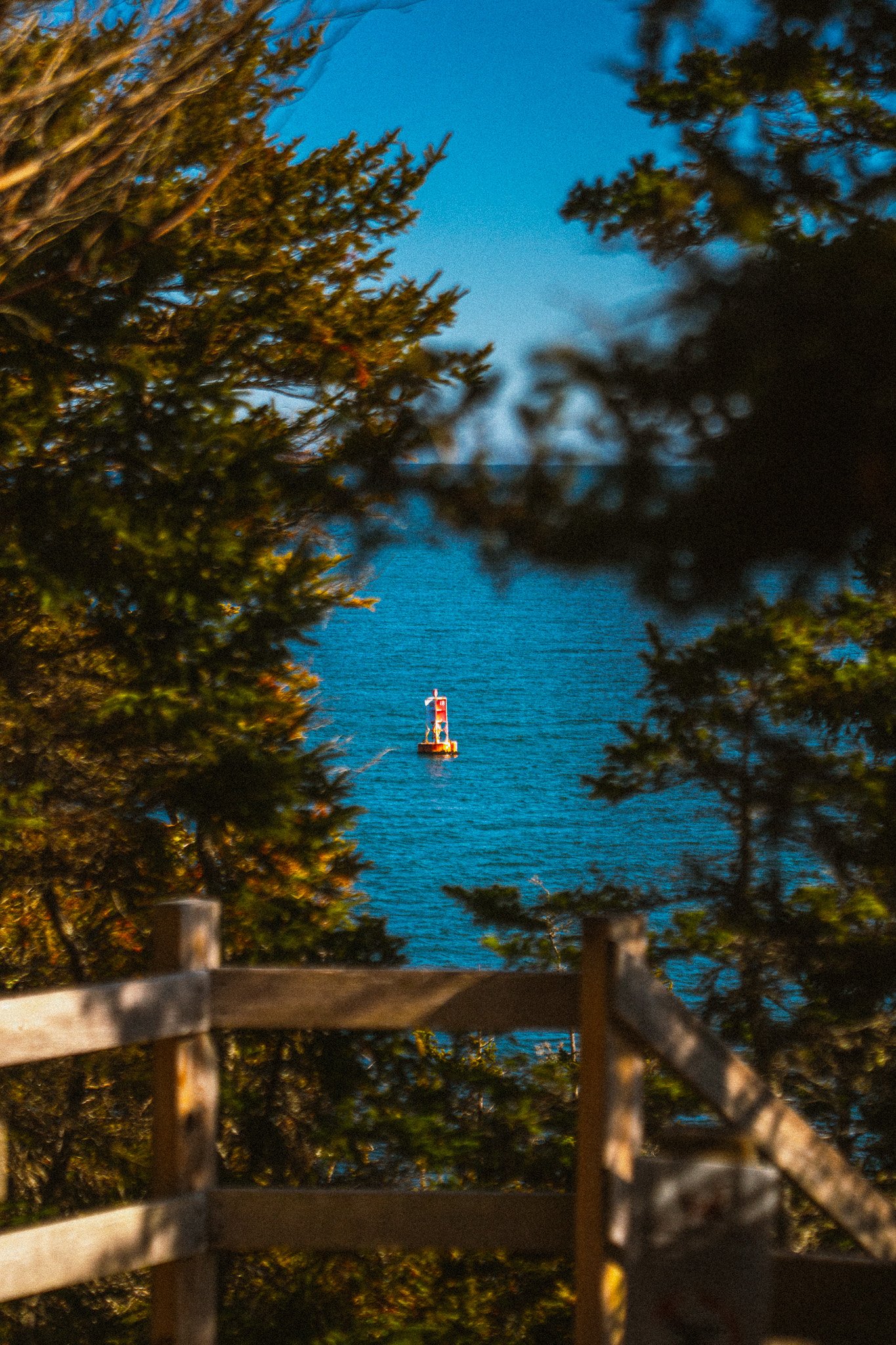 Bar Harbor, Maine