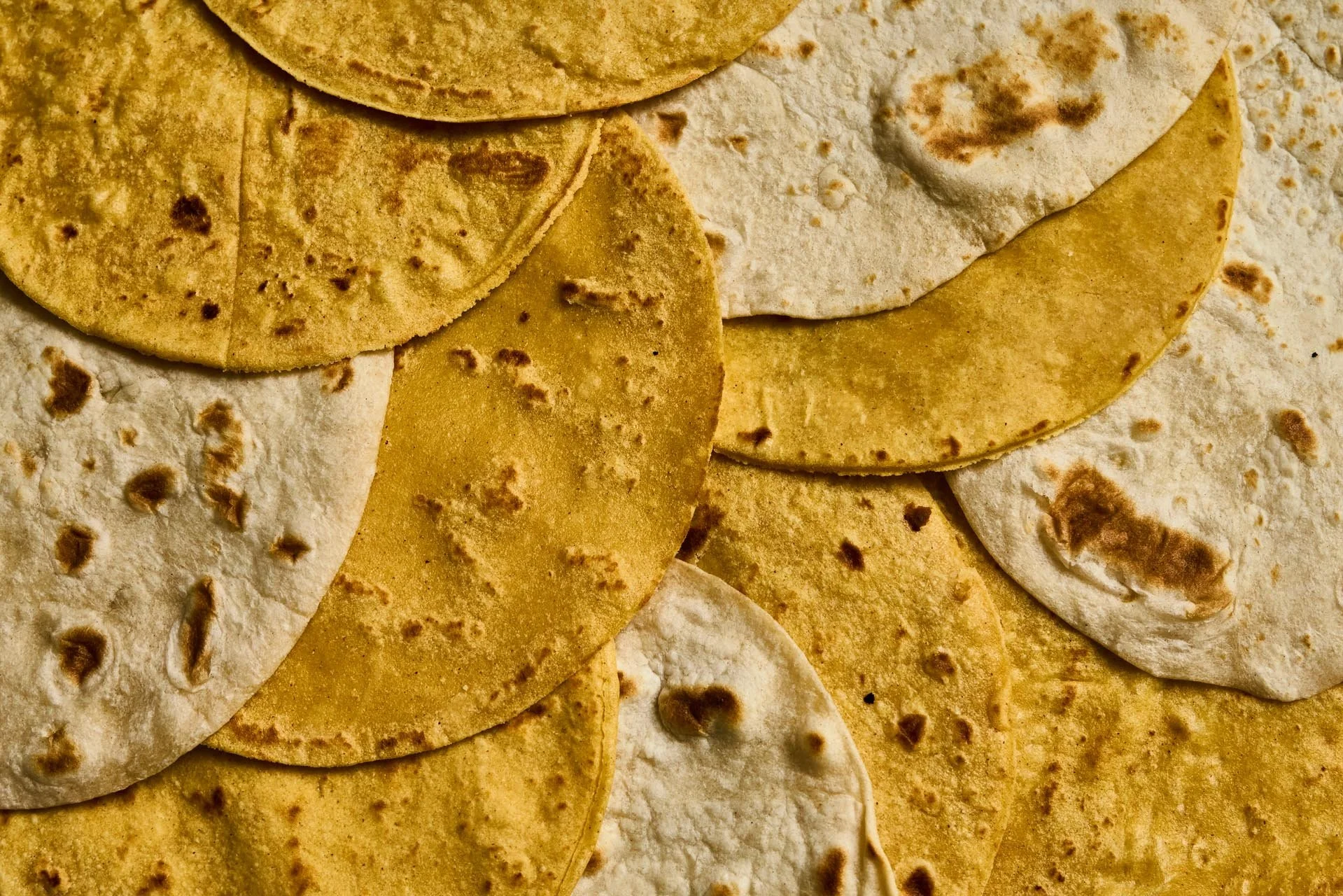 Close-up of various corn tortillas in different shades of yellow, white, and light brown.