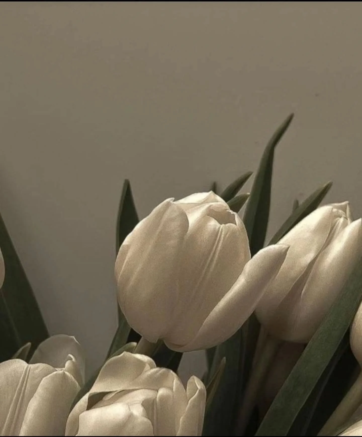 Aussi pr&eacute;cieuse que le plus beau des bijoux... 💎 
Bonne f&ecirc;te &agrave; toutes les mamans 💐🫶