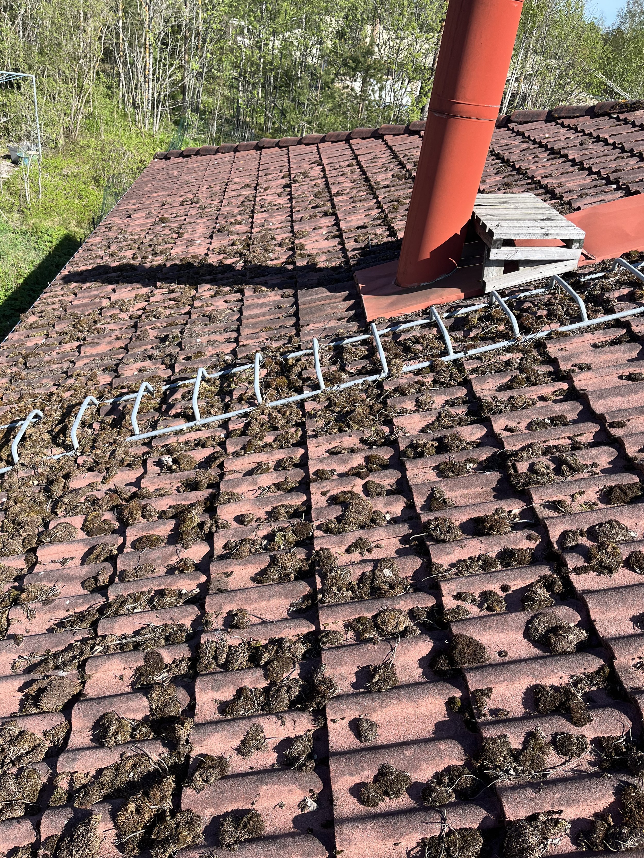 Sammaleen poisto Espoo