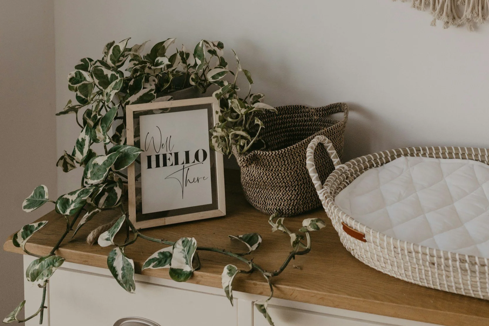 Nesting Godmother Services