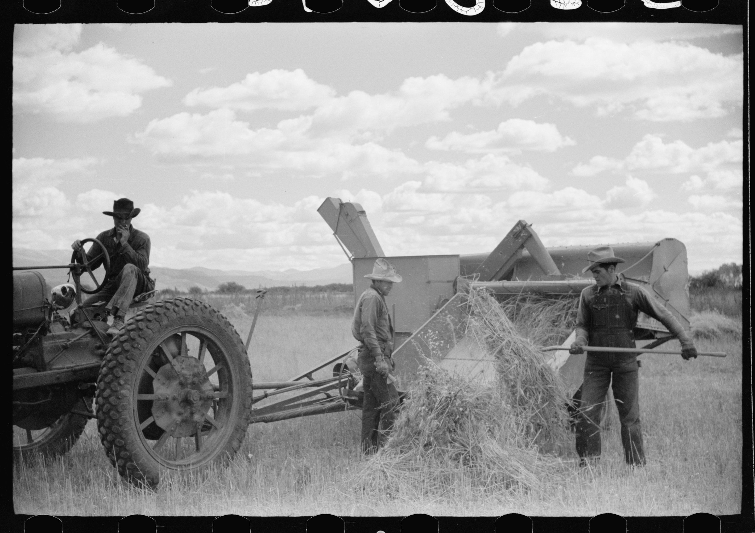 GrainHarvest-CostillaCounty-SLV-LibraryofCongress.jpg