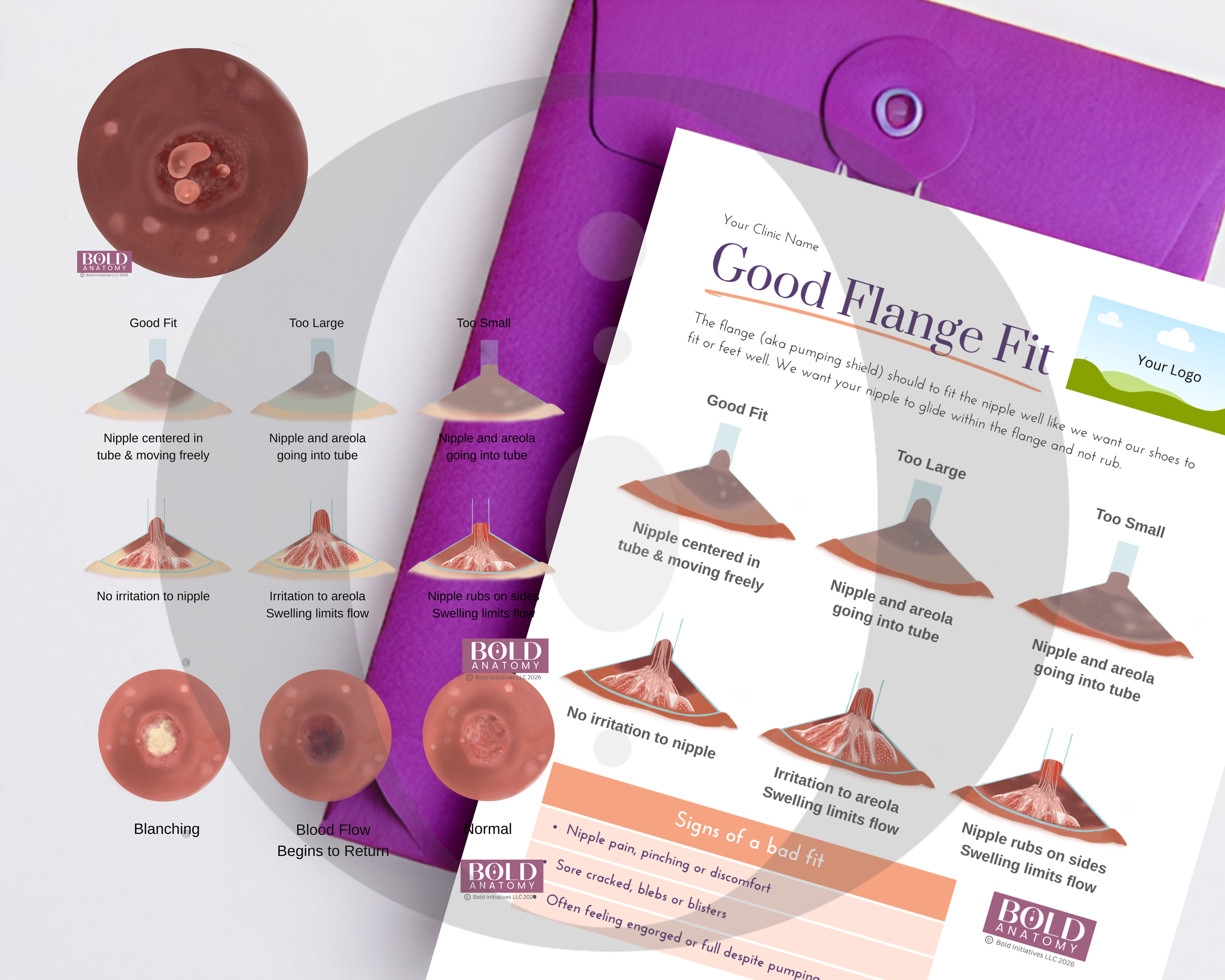 Flange Fit Bundle (15% off 4 images, 1 handout)