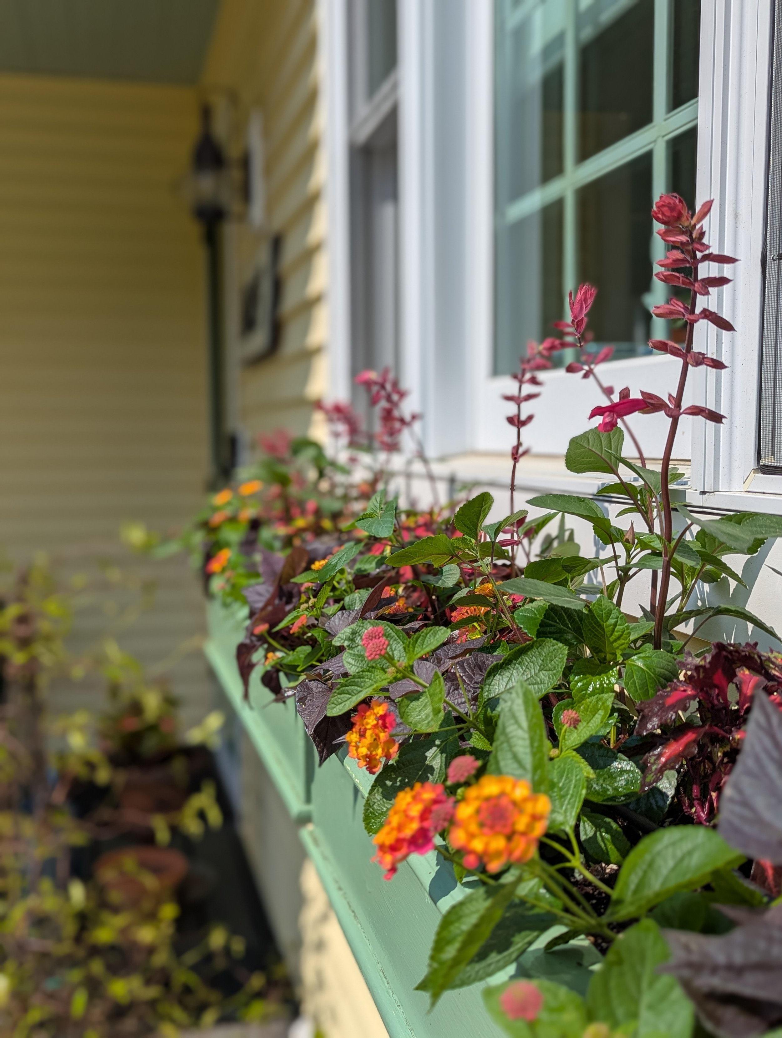 Front entrance refresh! 🌸 There is nothing like coming home to a happy splash of color right at your doorstep. ✨

Want your own custom container or window box magic this season? Let&rsquo;s bring your entrance to life! 

#CurbAppeal #ContainerGarden
