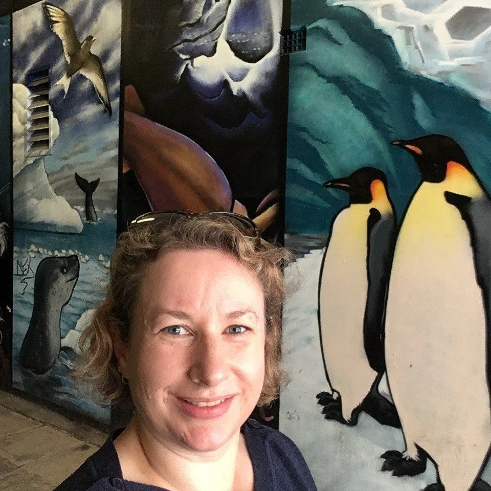 Meet the PCAPS SG: Reflections from PCAPS SG member Vicki Heinrich