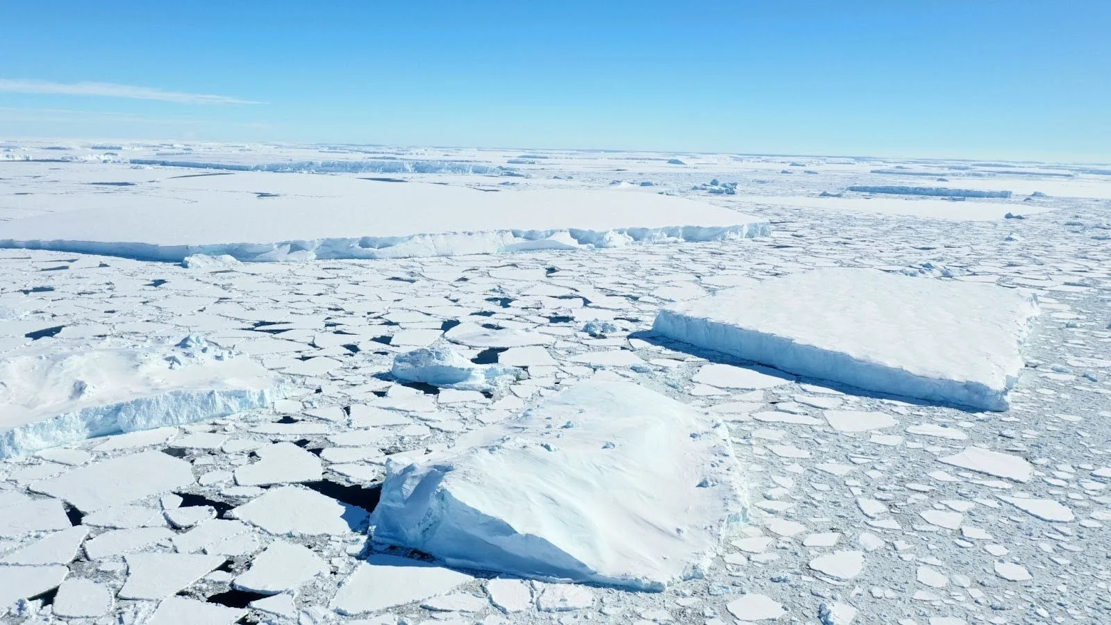 Bridging the gap between AI and observations for sea ice forecasting: a new working group (ORCAS)