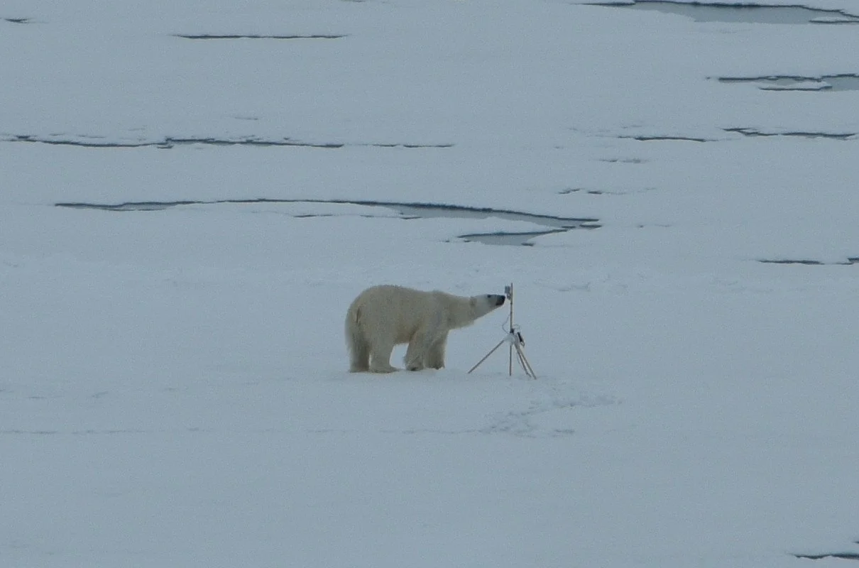 Kick-off of the PCAPS DON4FS Task Team