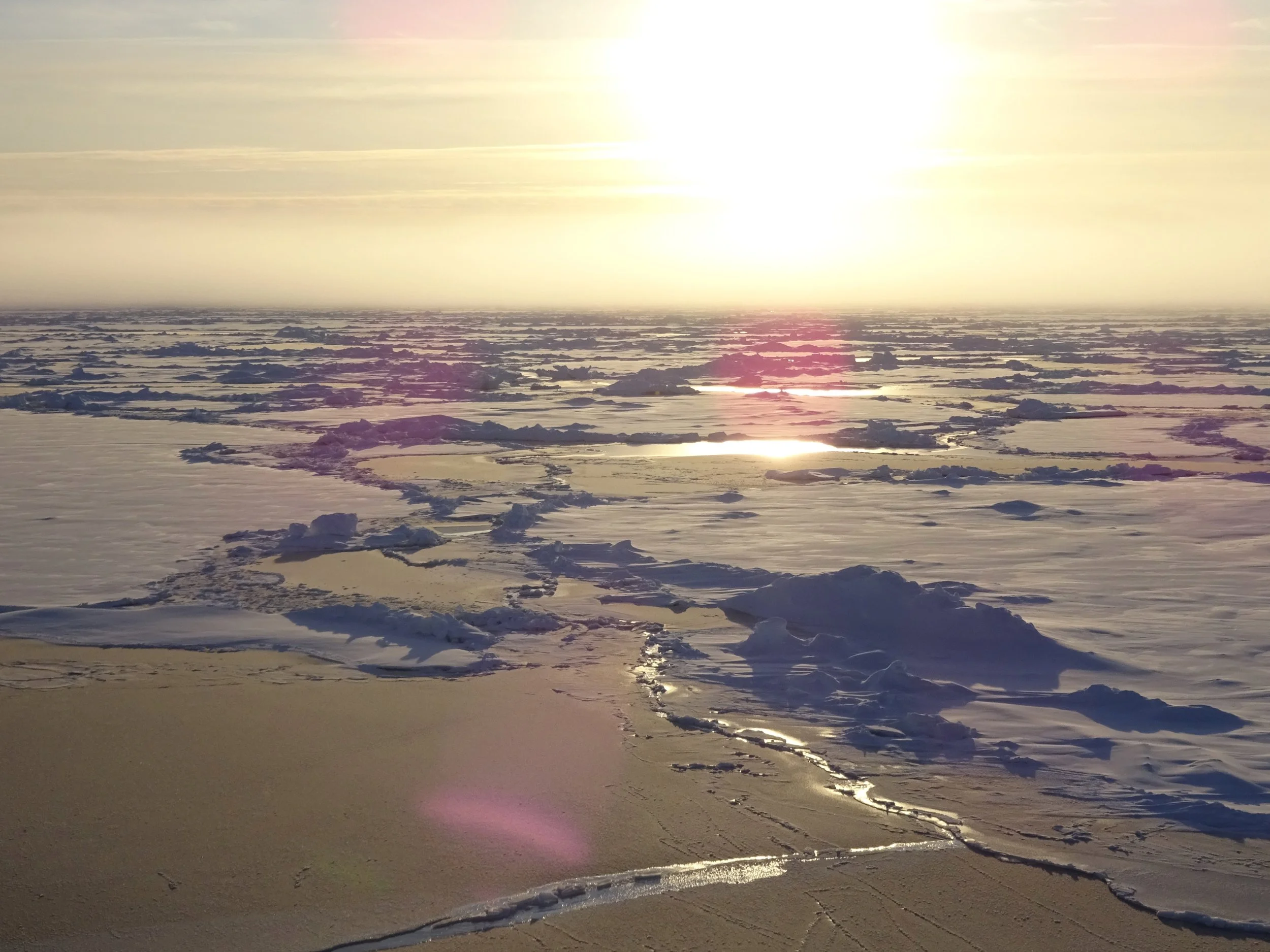 Advancing visibility forecasting on the icebreaker Oden
